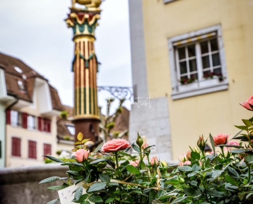 SOLOTHURN 0056