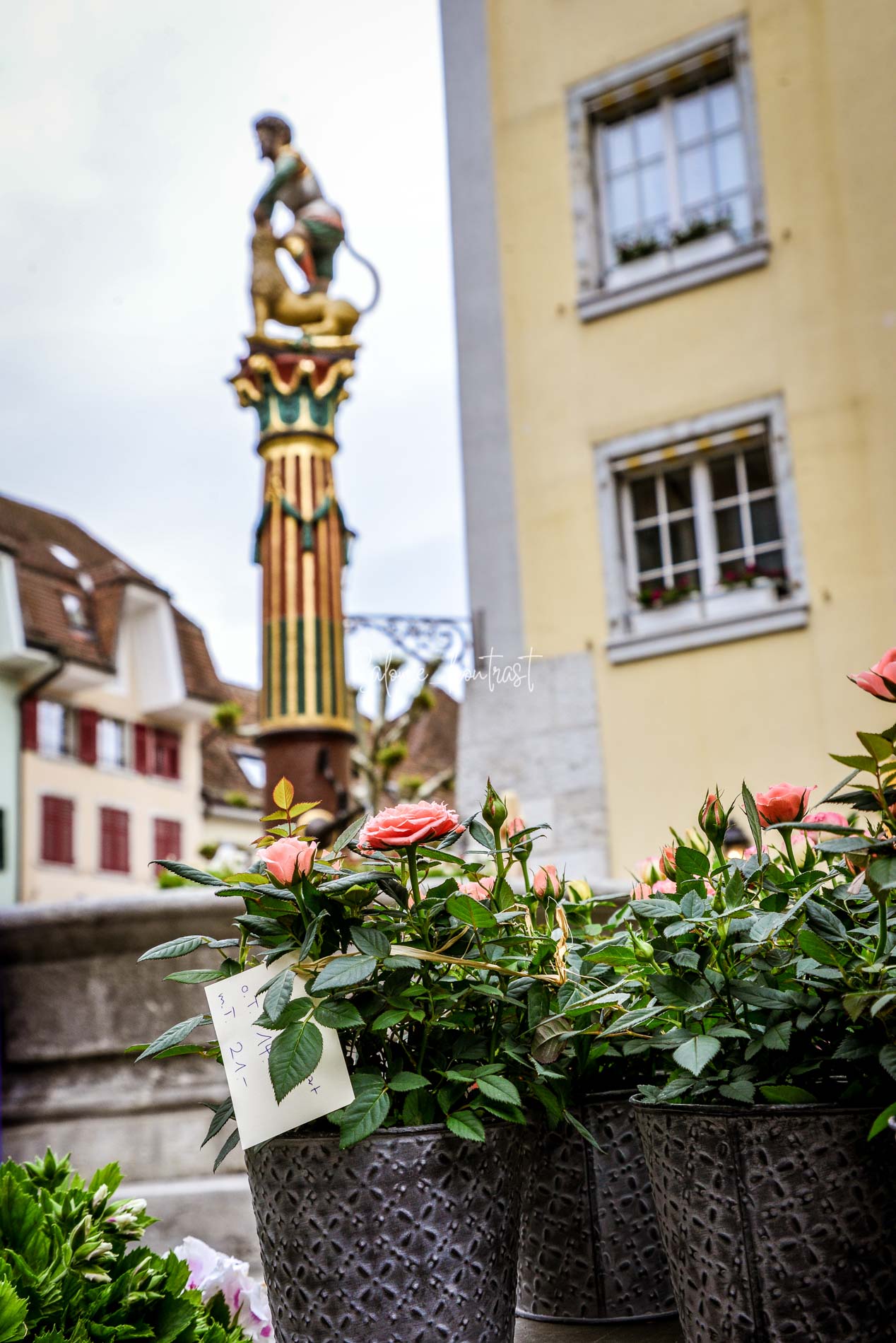 SOLOTHURN 0056